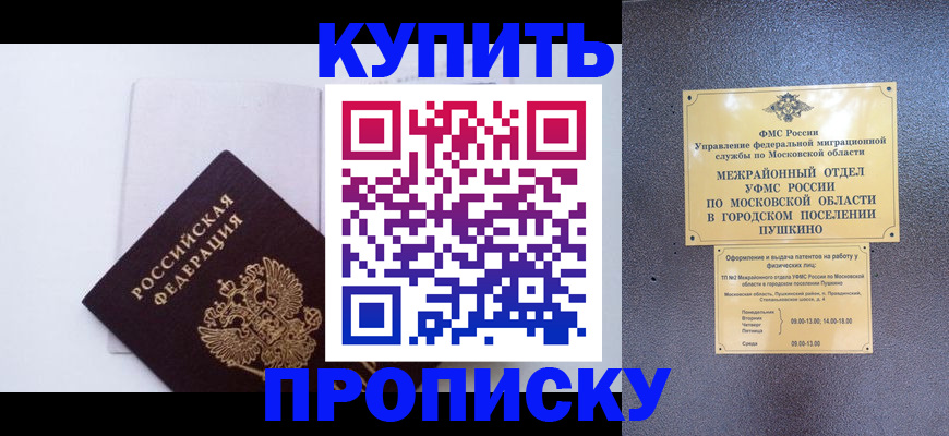 найти адрес прописки в Протвино